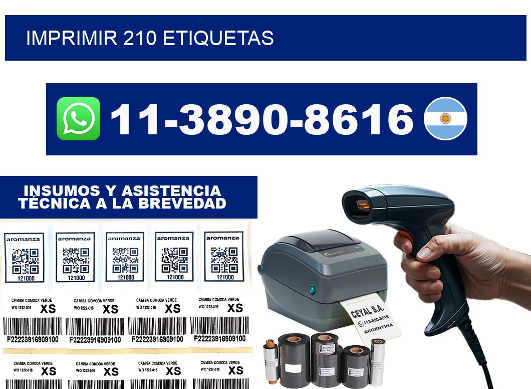 IMPRIMIR 210 ETIQUETAS