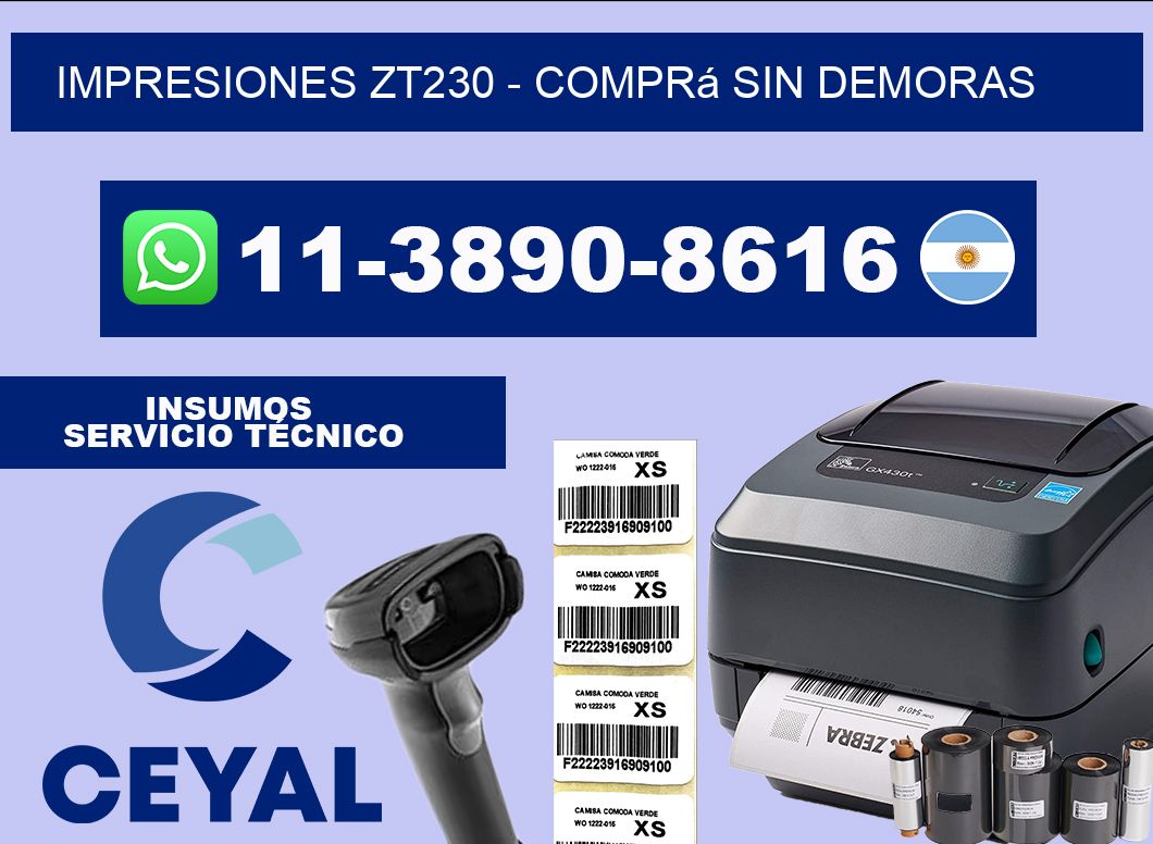 Impresiones ZT230 - Comprá sin demoras